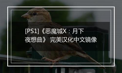 [PS1]《恶魔城X：月下夜想曲》 完美汉化中文镜像