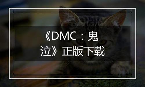 《DMC：鬼泣》正版下载