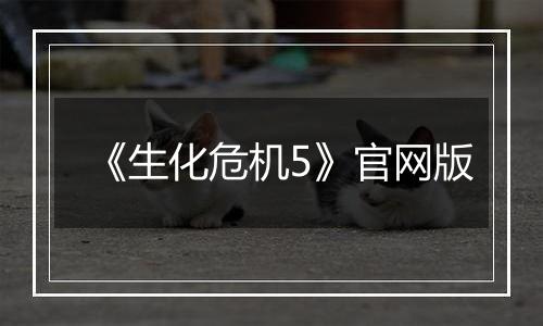 《生化危机5》官网版