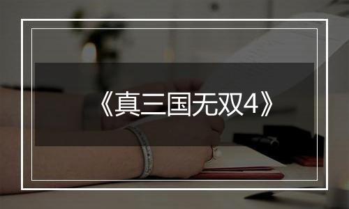 《真三国无双4》