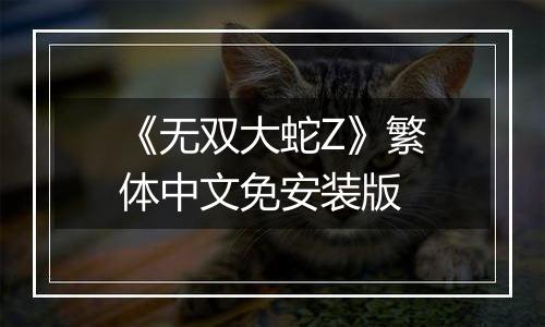 《无双大蛇Z》繁体中文免安装版