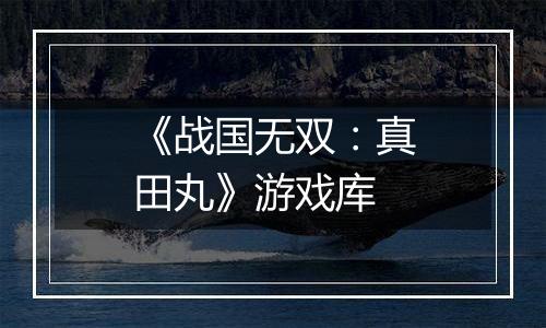 《战国无双：真田丸》游戏库