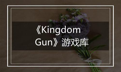 《Kingdom Gun》游戏库
