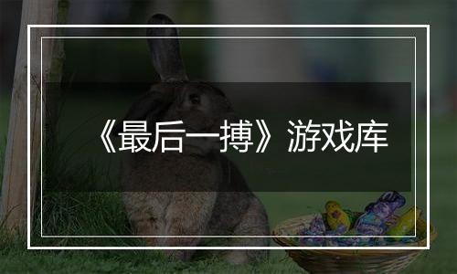 《最后一搏》游戏库