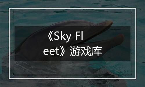 《Sky Fleet》游戏库