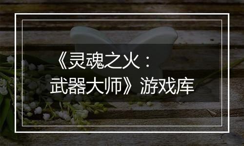 《灵魂之火 : 武器大师》游戏库