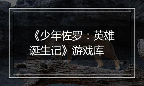 《少年佐罗：英雄诞生记》游戏库