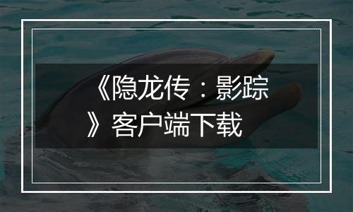 《隐龙传：影踪》客户端下载
