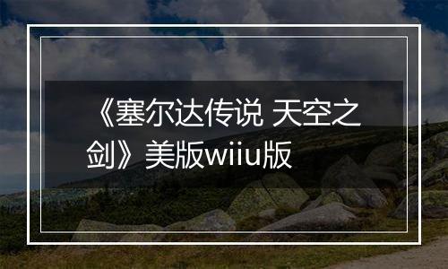 《塞尔达传说 天空之剑》美版wiiu版