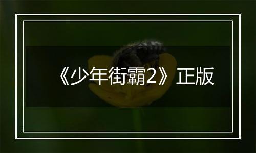 《少年街霸2》正版