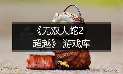 《无双大蛇2 超越》 游戏库