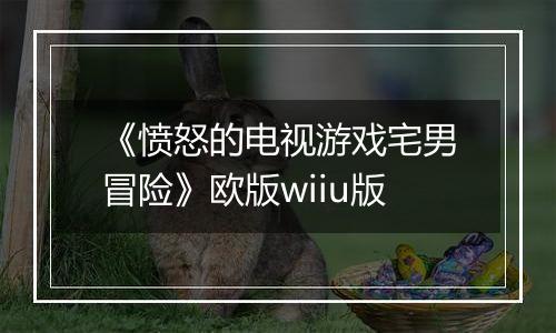 《愤怒的电视游戏宅男冒险》欧版wiiu版