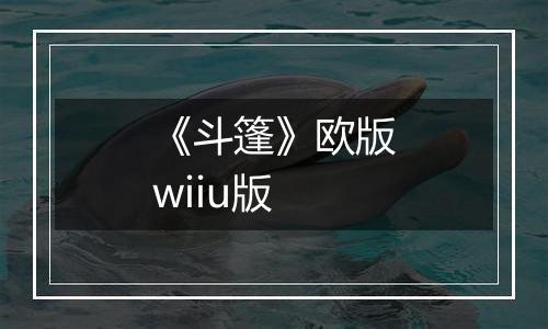 《斗篷》欧版wiiu版