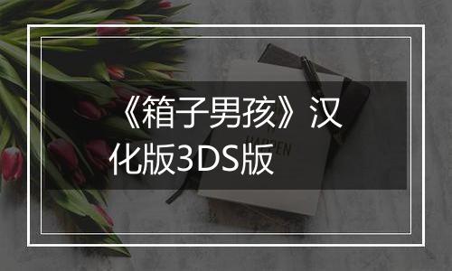 《箱子男孩》汉化版3DS版