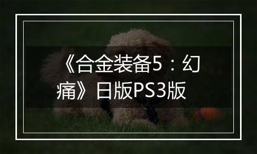 《合金装备5：幻痛》日版PS3版