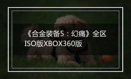 《合金装备5：幻痛》全区ISO版XBOX360版