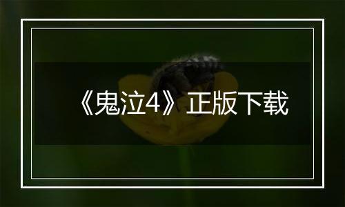 《鬼泣4》正版下载