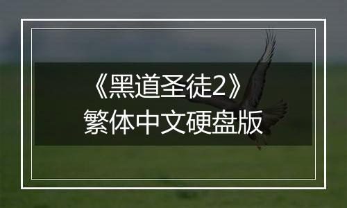 《黑道圣徒2》繁体中文硬盘版