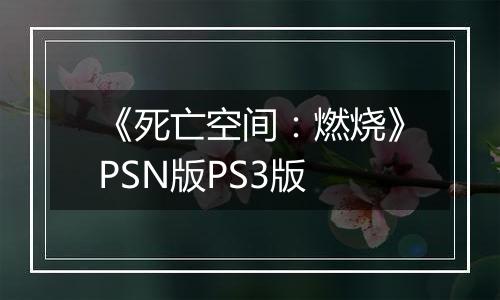 《死亡空间:燃烧》PSN版PS3版