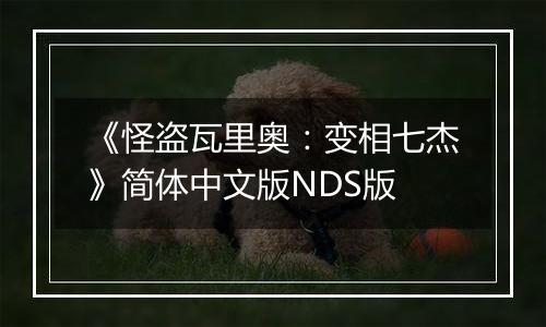 《怪盗瓦里奥：变相七杰》简体中文版NDS版