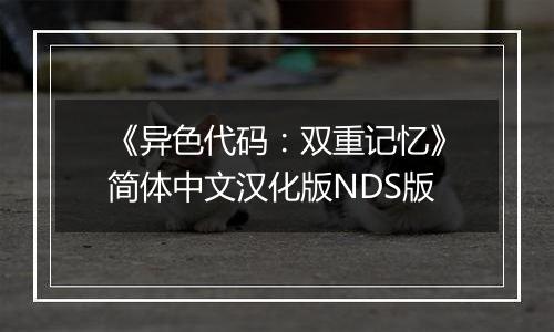 《异色代码：双重记忆》简体中文汉化版NDS版