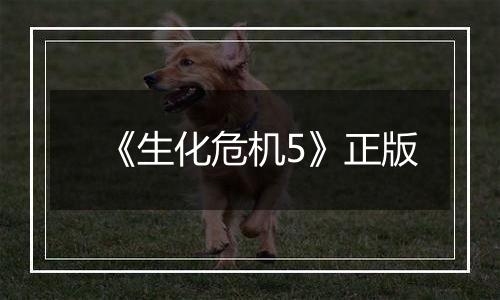 《生化危机5》正版