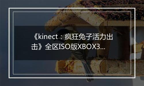 《kinect:疯狂兔子活力出击》全区ISO版XBOX360版