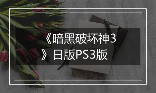 《暗黑破坏神3》日版PS3版