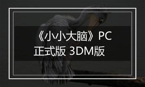 《小小大脑》PC正式版 3DM版