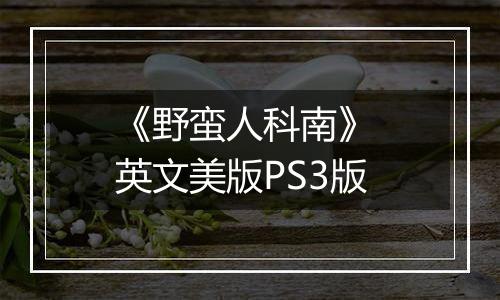 《野蛮人科南》 英文美版PS3版