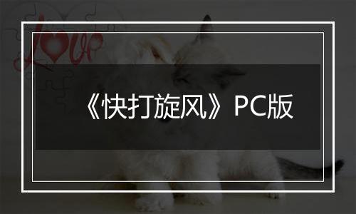 《快打旋风》PC版