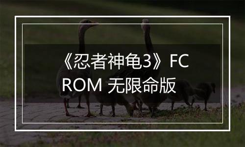 《忍者神龟3》FC ROM 无限命版