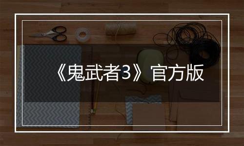 《鬼武者3》官方版