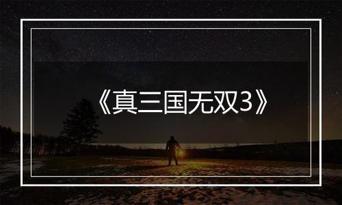 《真三国无双3》