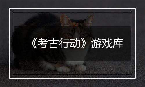 《考古行动》游戏库