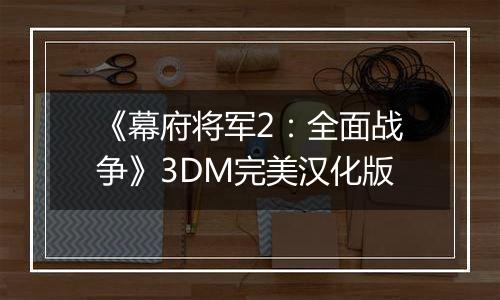 《幕府将军2：全面战争》3DM完美汉化版