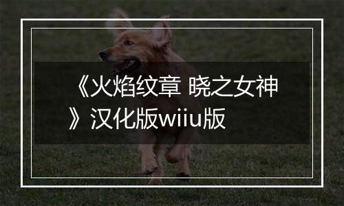 《火焰纹章 晓之女神》汉化版wiiu版