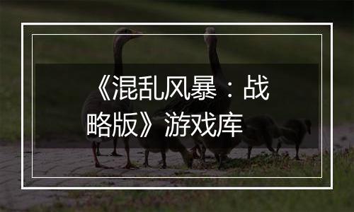 《混乱风暴：战略版》游戏库