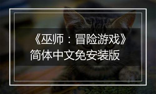 《巫师：冒险游戏》简体中文免安装版