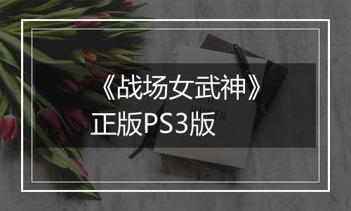 《战场女武神》正版PS3版