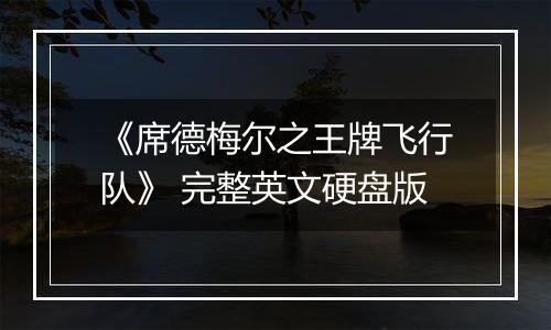 《席德梅尔之王牌飞行队》 完整英文硬盘版