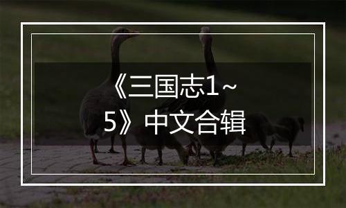 《三国志1~5》中文合辑