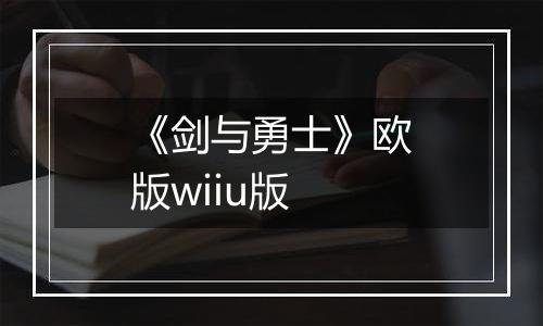《剑与勇士》欧版wiiu版