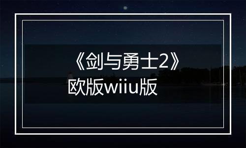 《剑与勇士2》欧版wiiu版