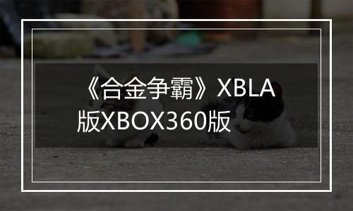 《合金争霸》XBLA版XBOX360版