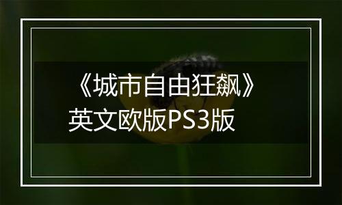 《城市自由狂飙》 英文欧版PS3版