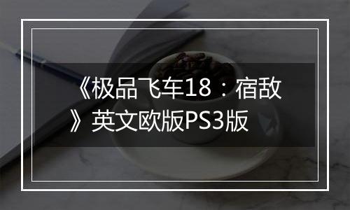 《极品飞车18：宿敌》英文欧版PS3版