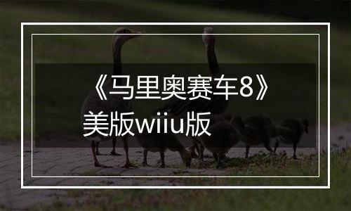 《马里奥赛车8》美版wiiu版