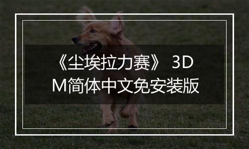 《尘埃拉力赛》 3DM简体中文免安装版