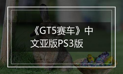 《GT5赛车》中文亚版PS3版